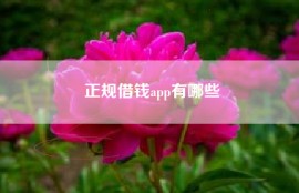 正规借钱app有哪些