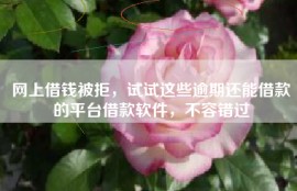 网上借钱被拒，试试这些逾期还能借款的平台借款软件，不容错过