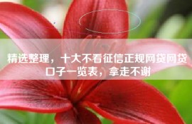 精选整理，十大不看征信正规网贷网贷口子一览表，拿走不谢