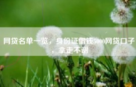 网贷名单一览，身份证借钱5000网贷口子，拿走不谢