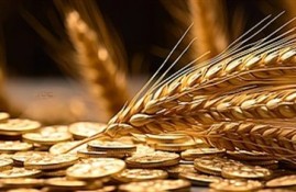 哪些贷款不上征信容易下款？整理5个不看征信最容易下款的贷款平台