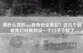 有什么贷款app是身份证借款？这几个就是我已经黑到没一个口子下款了
