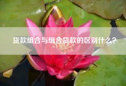 贷款组合与组合贷款的区别什么？
