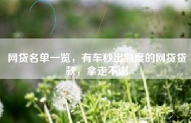 网贷名单一览，有车秒出额度的网贷贷款，拿走不谢