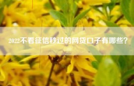 2022不看征信秒过的网贷口子有哪些？