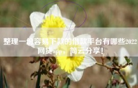 整理一份容易下款的借款平台有哪些2022网贷app，简云分享！