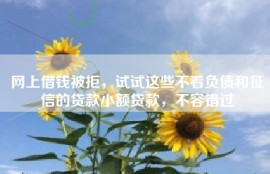 网上借钱被拒，试试这些不看负债和征信的贷款小额贷款，不容错过