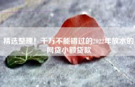 精选整理！千万不能错过的2022年放水的网贷小额贷款