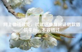 网上借钱被拒，试试这些身份证借款借款平台，不容错过