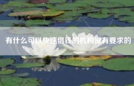 有什么可以快速借钱的机构没有要求的