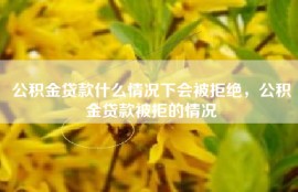 公积金贷款什么情况下会被拒绝，公积金贷款被拒的情况