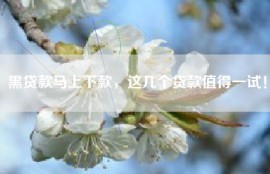 黑贷款马上下款，这几个贷款值得一试！