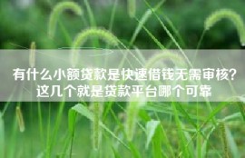 有什么小额贷款是快速借钱无需审核？这几个就是贷款平台哪个可靠