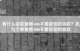 有什么贷款是借5000不看征信的贷款？这几个就是借5000不看征信的贷款