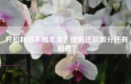 只扣利息不扣本金？提前还款部分还有利息？