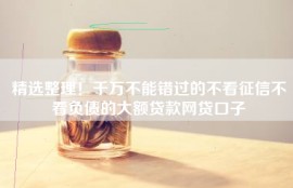 精选整理！千万不能错过的不看征信不看负债的大额贷款网贷口子