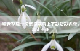 精选整理一份黑贷款马上下款贷款名单，拿走不谢