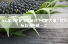 2022年征信花负债高必下款的名单，这些贷款值得试一试！