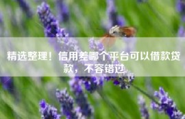 精选整理！信用差哪个平台可以借款贷款，不容错过