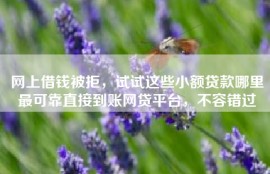 网上借钱被拒，试试这些小额贷款哪里最可靠直接到账网贷平台，不容错过