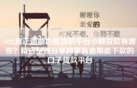 2022真正逾期也能贷的平台小额贷款有哪些？精选整理分享网黑有逾期能下款的口子贷款平台