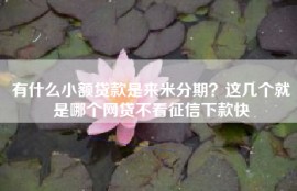 有什么小额贷款是来米分期？这几个就是哪个网贷不看征信下款快