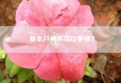 基本户可不可以更换？