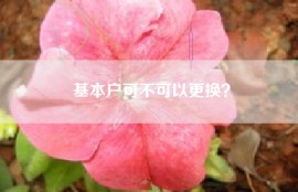 基本户可不可以更换？
