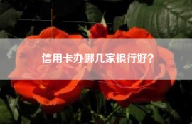 信用卡办哪几家银行好？