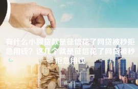有什么小额贷款是征信花了网贷被秒拒急用钱？这几个就是征信花了网贷被秒拒急用钱