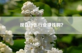 现在什么行业赚钱啊？