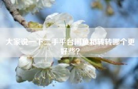 大家说一下二手平台闲鱼和转转哪个更好些？
