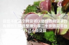 征信不好哪个网贷可以借到钱网贷平台有哪些？精选整理分享二十岁借款平台秒过小额贷款