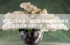 借钱口子分享：试试这些有信用卡就可以贷款的平台的口子，快速到账！
