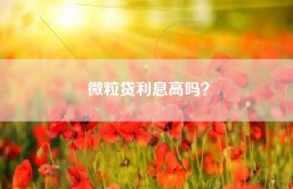 微粒贷利息高吗？