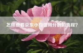怎样查看京东小白信用分数的流程？