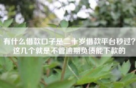 有什么借款口子是二十岁借款平台秒过？这几个就是不管逾期负债能下款的