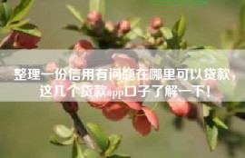 整理一份信用有问题在哪里可以贷款，这几个贷款app口子了解一下！