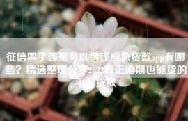 征信黑了哪里可以借钱应急贷款app有哪些？精选整理分享2022真正逾期也能贷的平台贷款