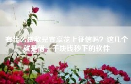 有什么贷款是宜享花上征信吗？这几个就是借一千块钱秒下的软件