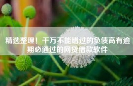 精选整理！千万不能错过的负债高有逾期必通过的网贷借款软件