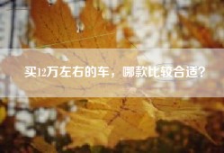 买12万左右的车，哪款比较合适？