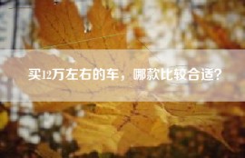 买12万左右的车，哪款比较合适？