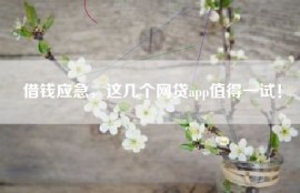 借钱应急，这几个网贷app值得一试！