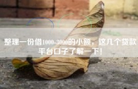 整理一份借1000-3000的小额，这几个贷款平台口子了解一下！