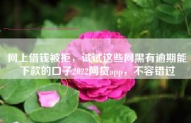 网上借钱被拒，试试这些网黑有逾期能下款的口子2022网贷app，不容错过