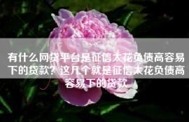 有什么网贷平台是征信太花负债高容易下的贷款？这几个就是征信太花负债高容易下的贷款