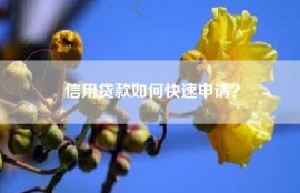 信用贷款如何快速申请？