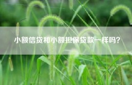 小额信贷和小额担保贷款一样吗？