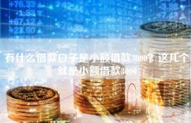 有什么借款口子是小额借款3000？这几个就是小额借款3000